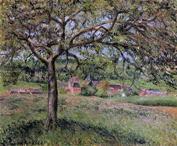 Camille Pissarro Apple Tree at Eragny - Canvas Art Print