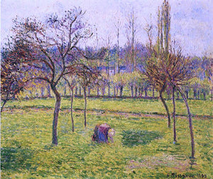  Camille Pissarro Apple Trees in a Field - Canvas Art Print
