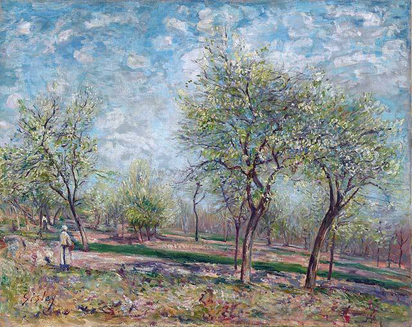 Alfred Sisley Apple Trees in Bloom - Canvas Art Print