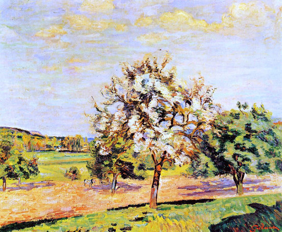  Armand Guillaumin Apple Trees in Bloom - Canvas Art Print