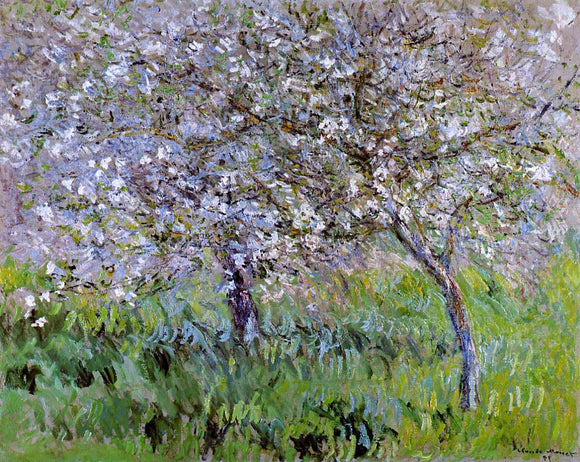  Claude Oscar Monet Apple Trees in Bloom at Giverny - Canvas Art Print