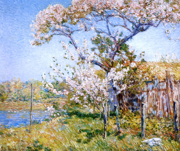  Frederick Childe Hassam Apple Trees in Bloom, Old Lyme - Canvas Art Print