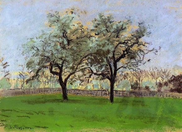 Camille Pissarro Apples Trees at Pontoise - Canvas Art Print