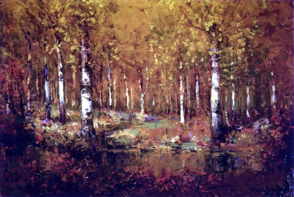  Julian Onderdonk Autumn Birches, Central Park - Canvas Art Print