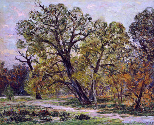  Maxime Maufra Autumn, Fontainebleau Forest - Canvas Art Print