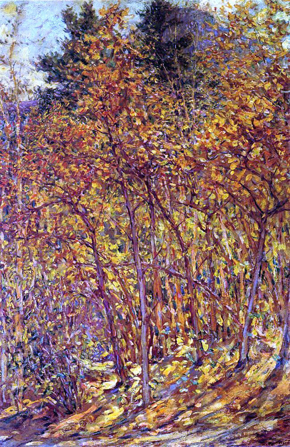 Robert Lewis Reid Autumn Sunlight - Canvas Art Print