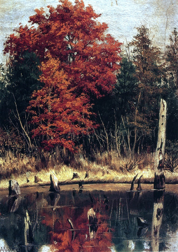  William Aiken Walker Autumn Wood in North Carolina with Tree Stumps in Water - Canvas Art Print
