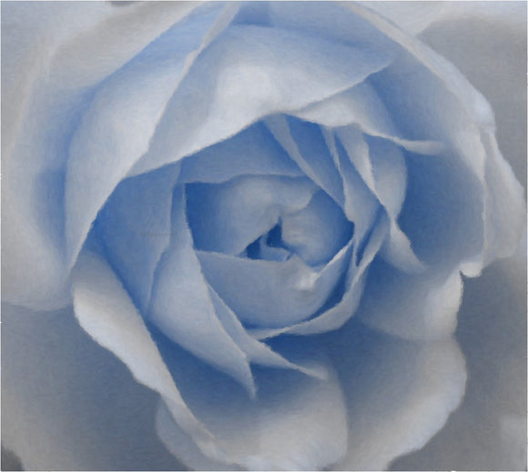  Our Original Collection Baby Blue Rose - Canvas Art Print