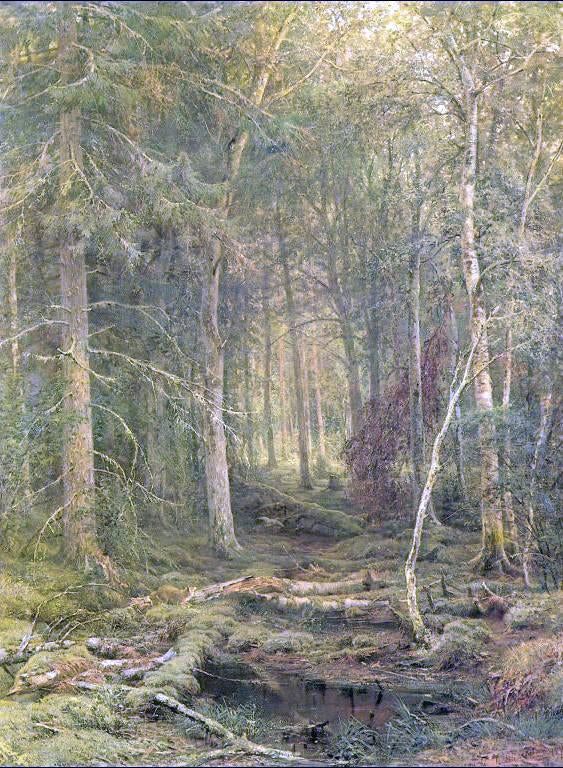  Ivan Ivanovich Shishkin Backwoods - Canvas Art Print