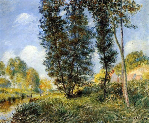  Alfred Sisley Banks of the Orvanne - Canvas Art Print