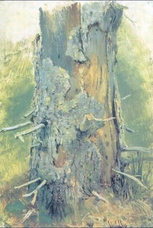  Ivan Ivanovich Shishkin Bark on dry up tree (etude) - Canvas Art Print