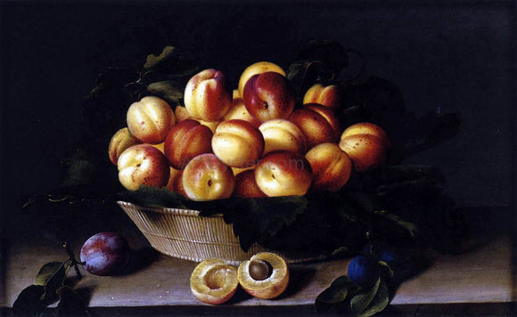  Louise Moillon Basket of Apricots - Canvas Art Print