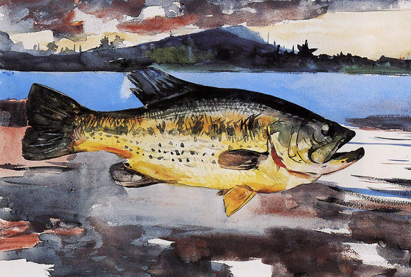  Winslow Homer Bass - Canvas Art Print