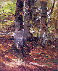  Frank Duveneck Beachwoods at Polling - Canvas Art Print