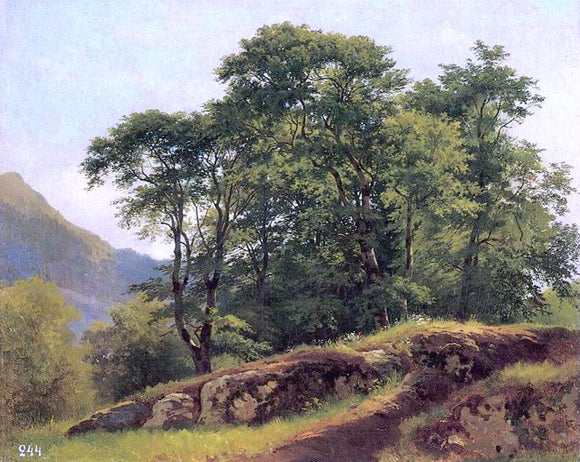  Ivan Ivanovich Shishkin Beech Forest in Switzerland - Canvas Art Print