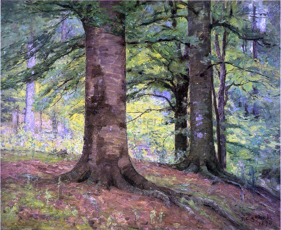 Theodore Clement Steele Beech Trees - Canvas Art Print
