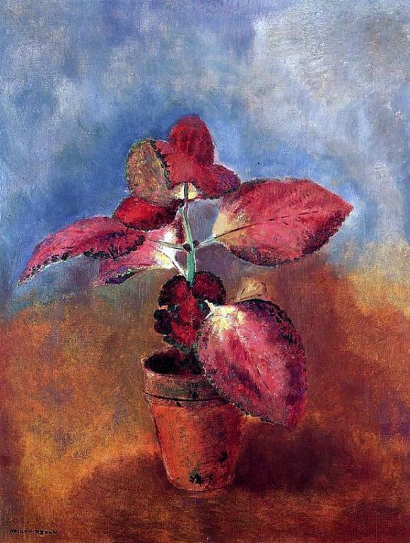  Odilon Redon Begonia in a Pot - Canvas Art Print