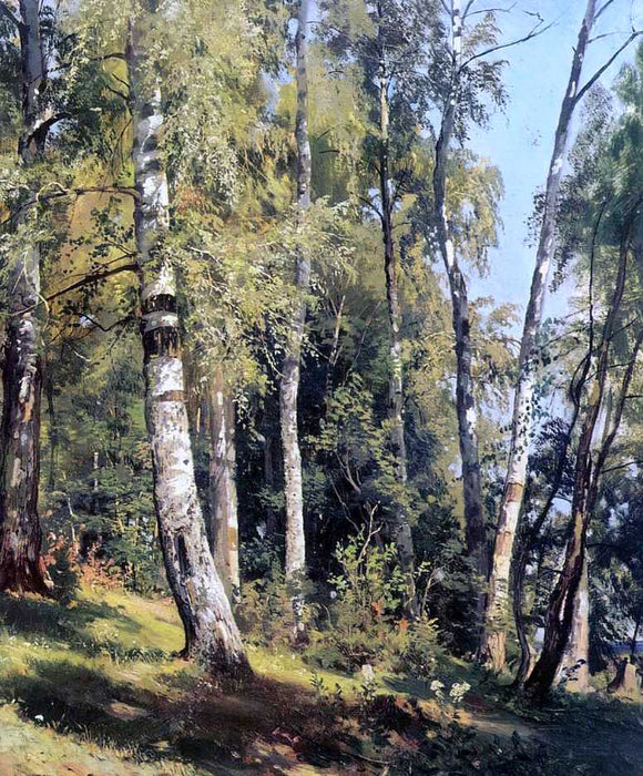  Ivan Ivanovich Shishkin Birch Grove - Canvas Art Print