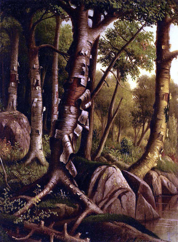  Levi Wells Prentice Birch Trees - Canvas Art Print