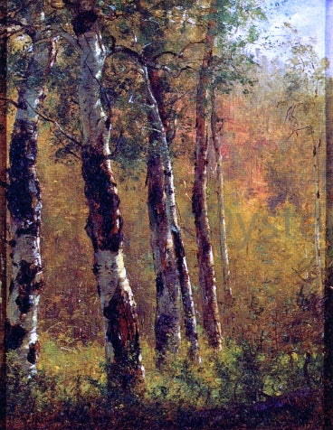  Thomas Worthington Whittredge Birch Trees - Canvas Art Print