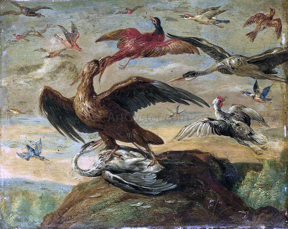  Jan Van I Kessel Birds - Canvas Art Print