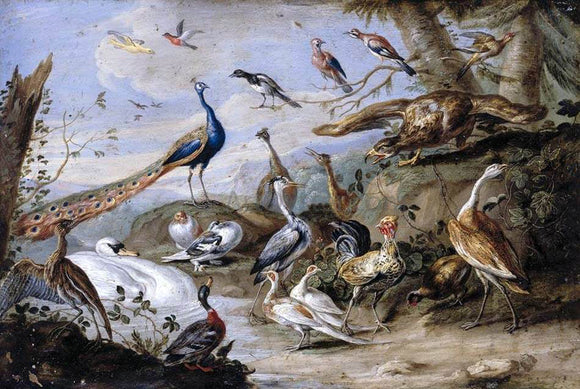  Jan Van I Kessel Birds on a Riverbank - Canvas Art Print