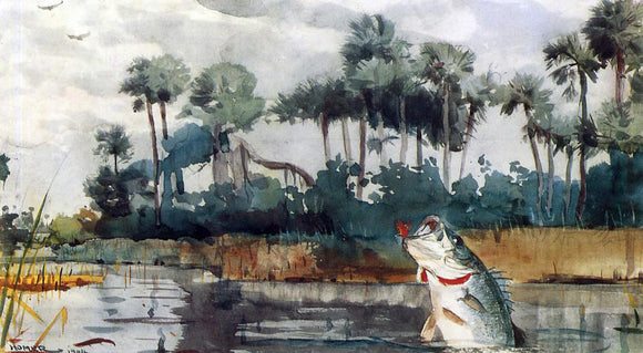  Winslow Homer Black Bass, Florida - Canvas Art Print