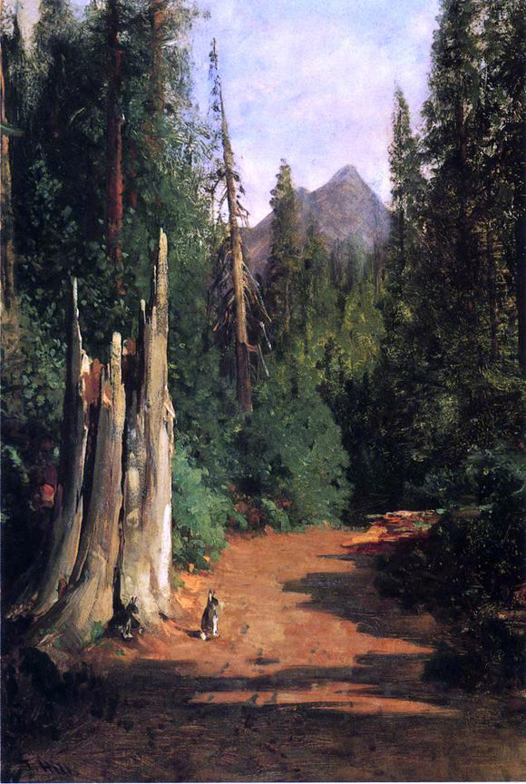  Thomas Hill Black Butte, Mount Shasta - Canvas Art Print