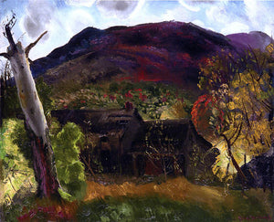  George Wesley Bellows Blasted Tree and Deserted House - Canvas Art Print
