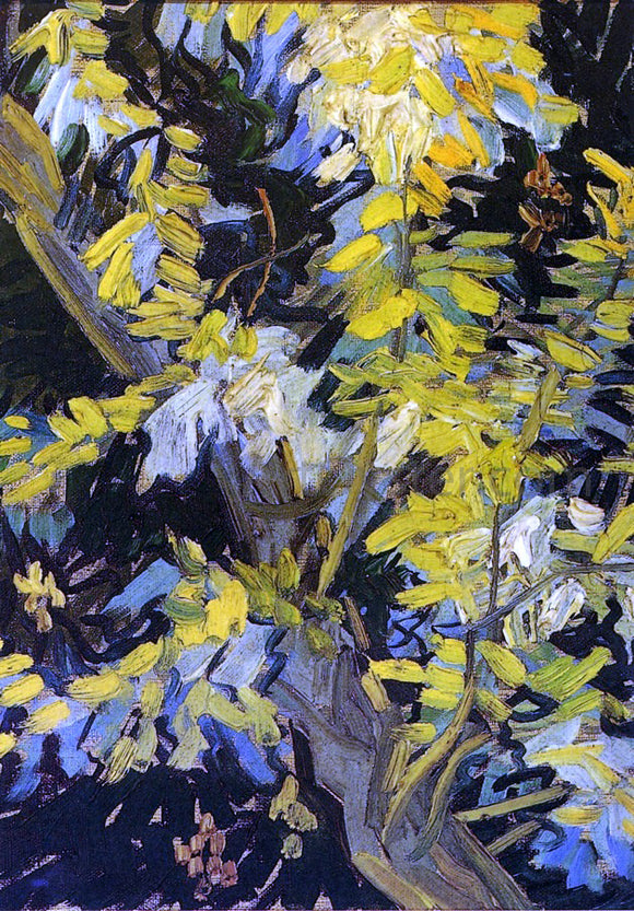  Vincent Van Gogh Blossoming Acacia Branches - Canvas Art Print