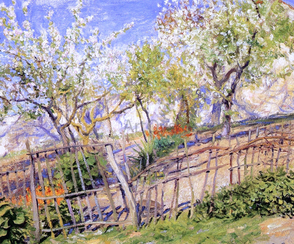  Guy Orlando Rose Blossoms and Wallflowers - Canvas Art Print