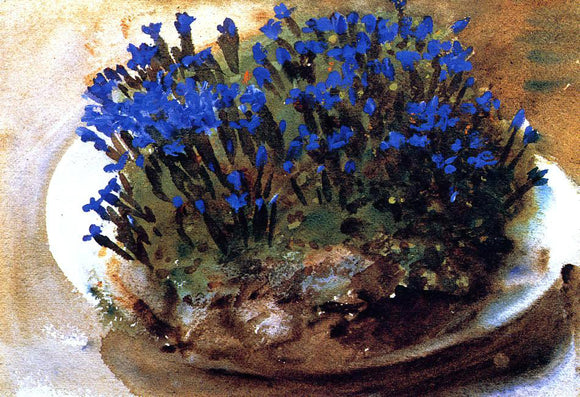  John Singer Sargent Blue Gentians - Canvas Art Print