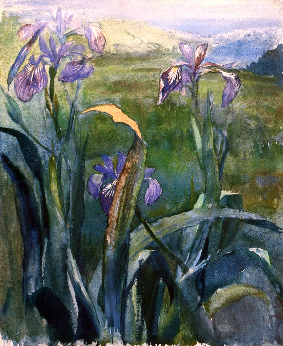  John La Farge Blue Iris, Study - Canvas Art Print