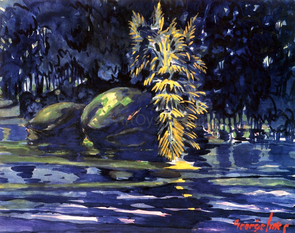  George Luks Boulders on a Riverbank - Canvas Art Print