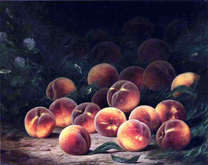  William Mason Brown Bounty of Peaches - Canvas Art Print