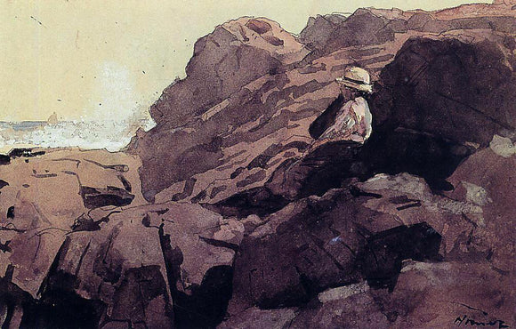  Winslow Homer Boy on the Rocks - Canvas Art Print