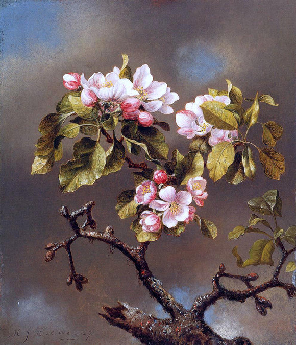  Martin Johnson Heade Branch of Apple Blossoms against a Cloudy Sky - Canvas Art Print