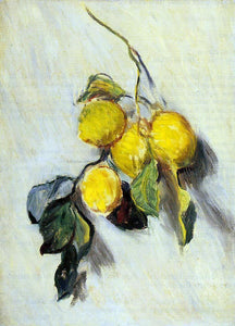  Claude Oscar Monet Branch of Lemons - Canvas Art Print
