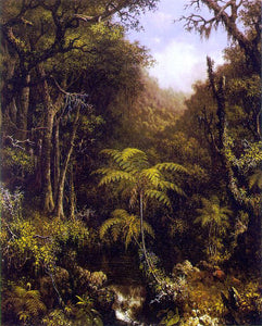  Martin Johnson Heade Brazilian Forest - Canvas Art Print