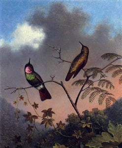  Martin Johnson Heade Brazilian Ruby Hummingbirds - Canvas Art Print