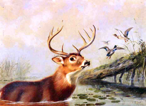  Arthur Fitzwilliam Tait Buck in a Marsh - Canvas Art Print