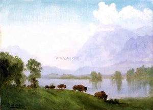  Albert Bierstadt Buffalo Country - Canvas Art Print