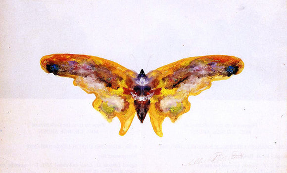  Albert Bierstadt The Butterfly - Canvas Art Print