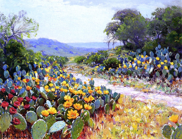  Julian Onderdonk Cactus in Bloom - Canvas Art Print