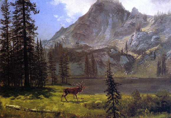  Albert Bierstadt Call of the Wild - Canvas Art Print