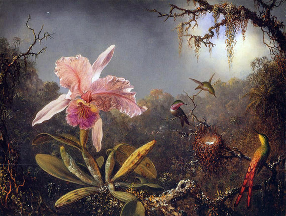  Martin Johnson Heade Cattleya Orchid and Three Brazilian Hummingbirds - Canvas Art Print
