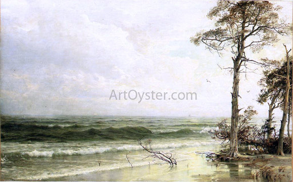  William Trost Richards Cedars on the Shore Near Atlantic City - Canvas Art Print