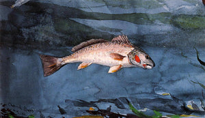 Winslow Homer Channel Bass, Florida - Canvas Art Print