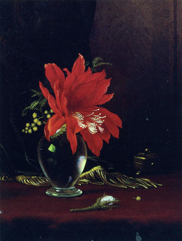  Martin Johnson Heade Chateau of Flower - Canvas Art Print