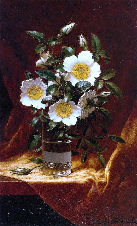  Martin Johnson Heade Cherokee Roses in a Glass - Canvas Art Print